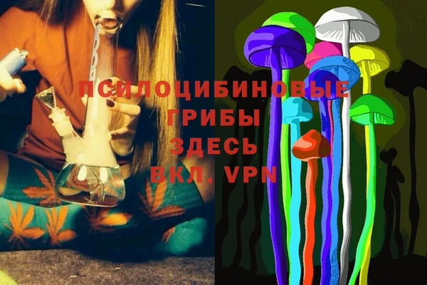 мдпв Арсеньев